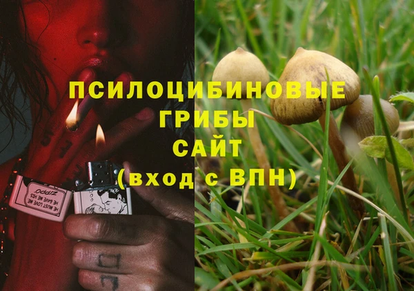 гашишное масло Верея
