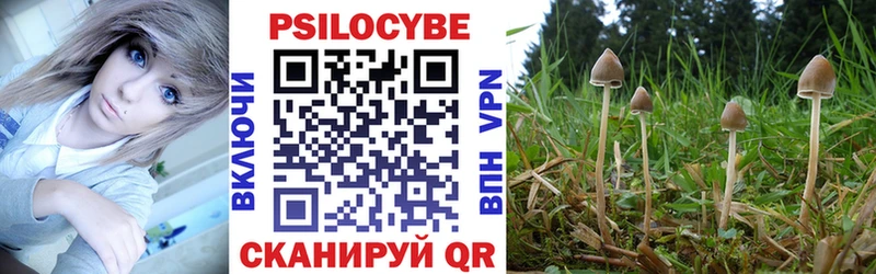 Псилоцибиновые грибы Magic Shrooms Купить закладки Волжск